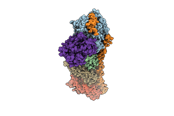 8CLF image