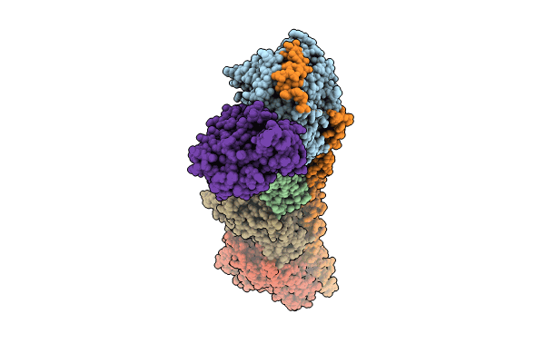 8CLH image