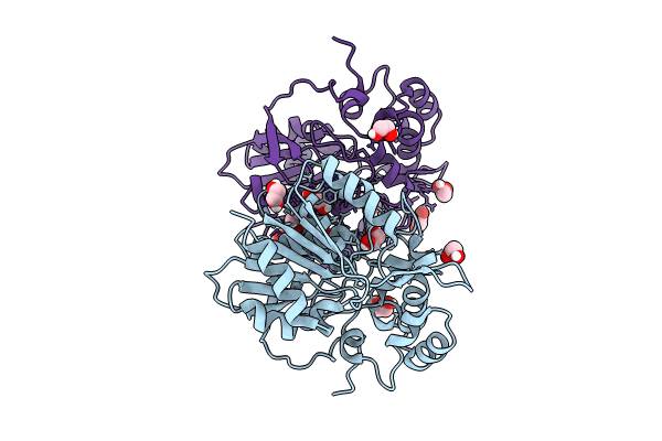 8CLO image