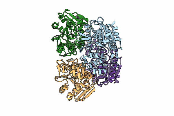 8CLP image