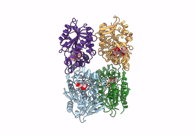 8CLV image