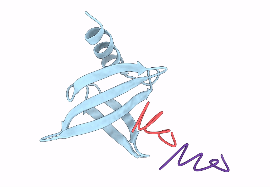 8CMN image