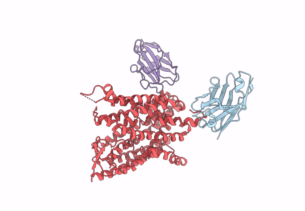 8CNI image