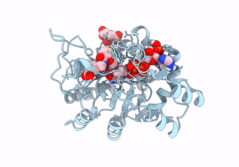 8CNP image