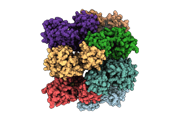 8CP4 image