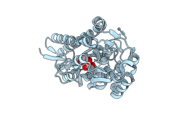 8CP7 image