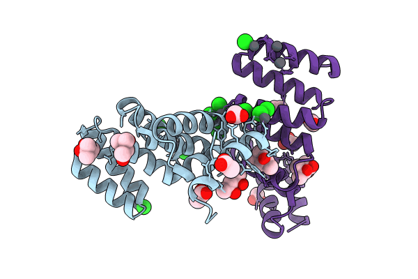 8CP8 image