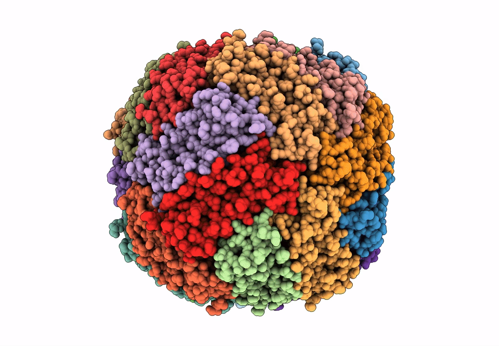 8CPM image