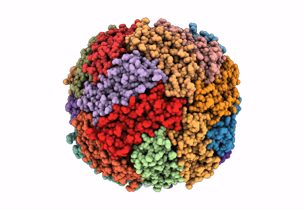 8CPX image