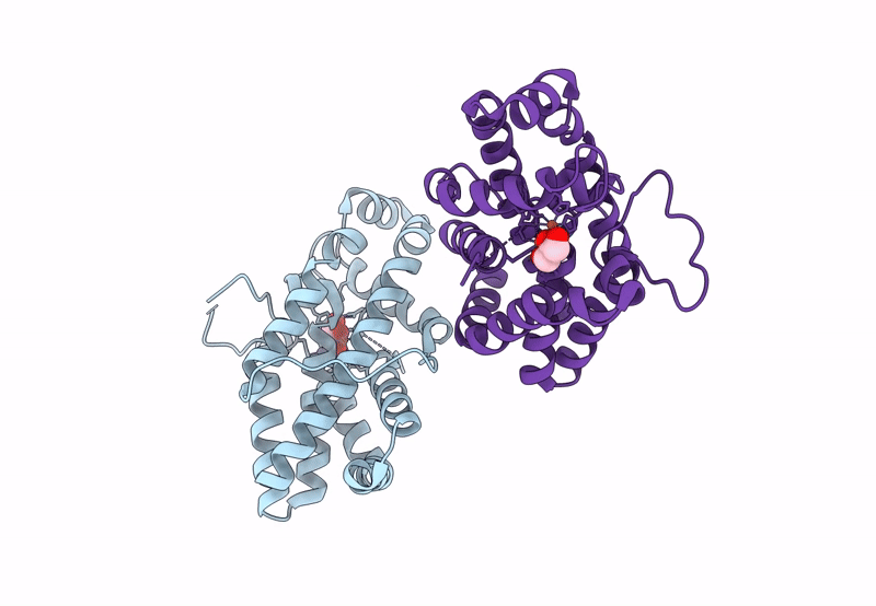 8CQM image