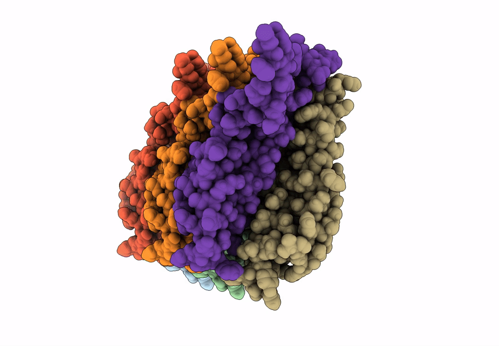 8CQR image
