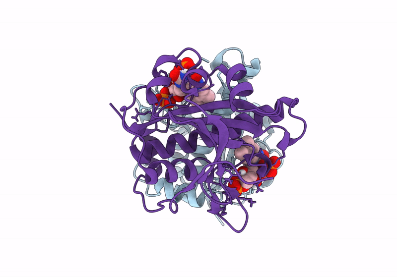 8CQS image