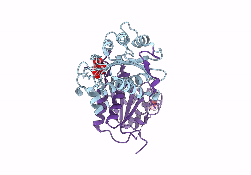 8CQU image