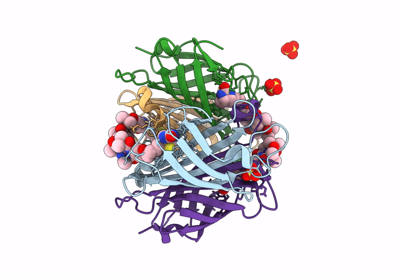 8CRP image