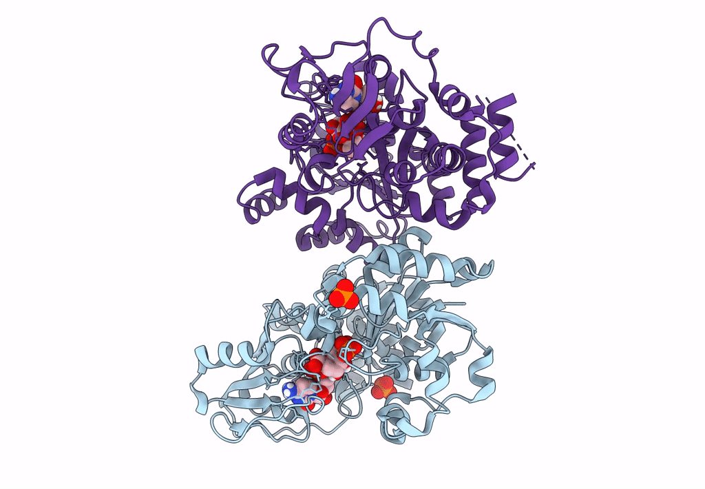 8CSB image