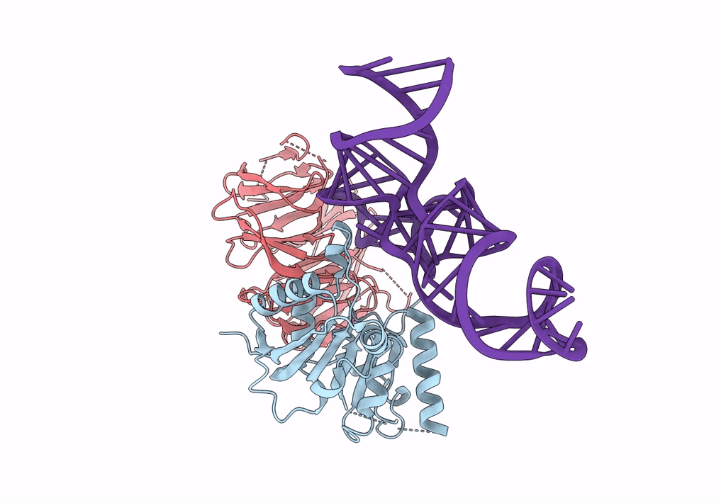 8CTI image