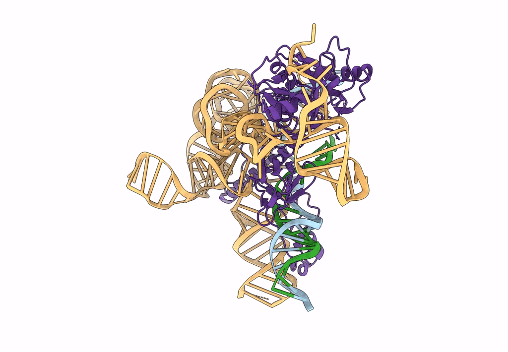 8CTL image