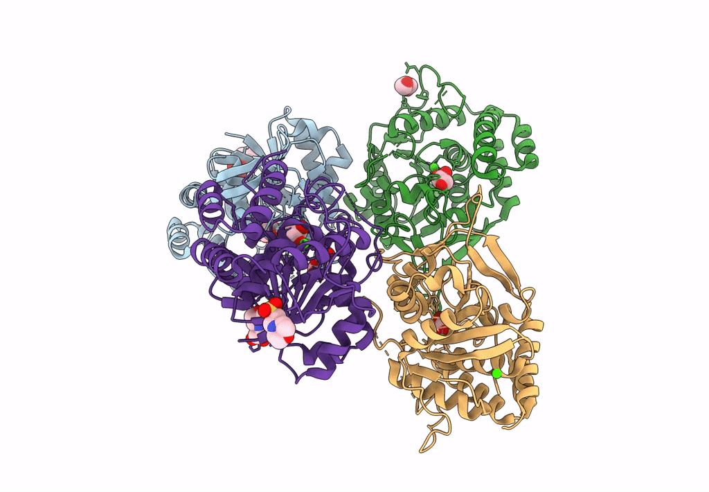 8CTM image
