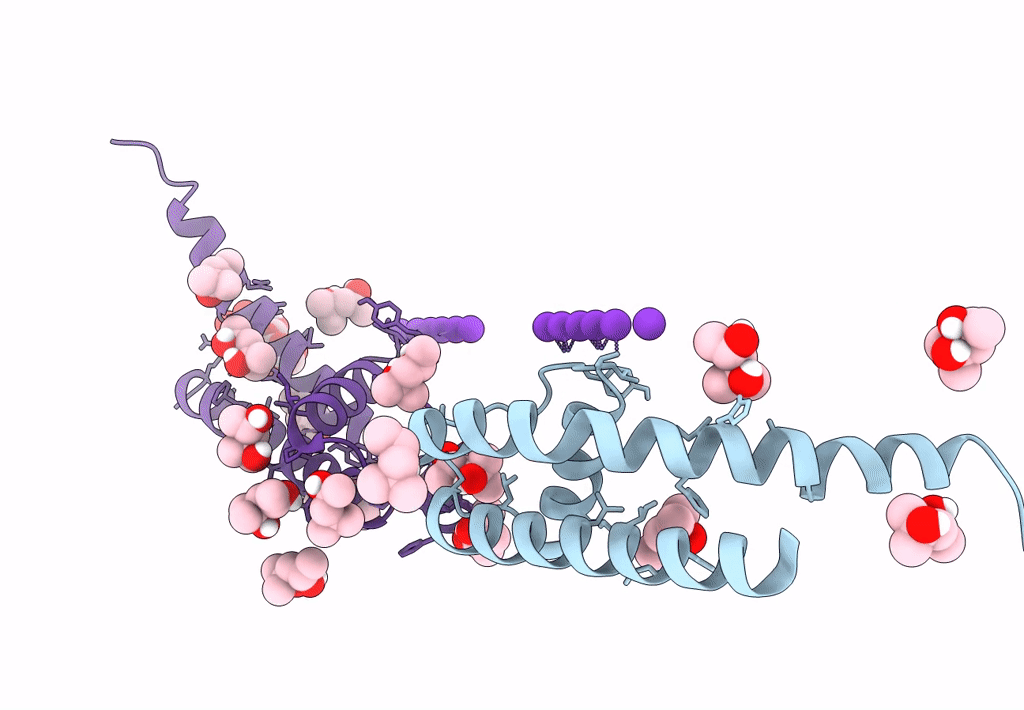 8CTN image