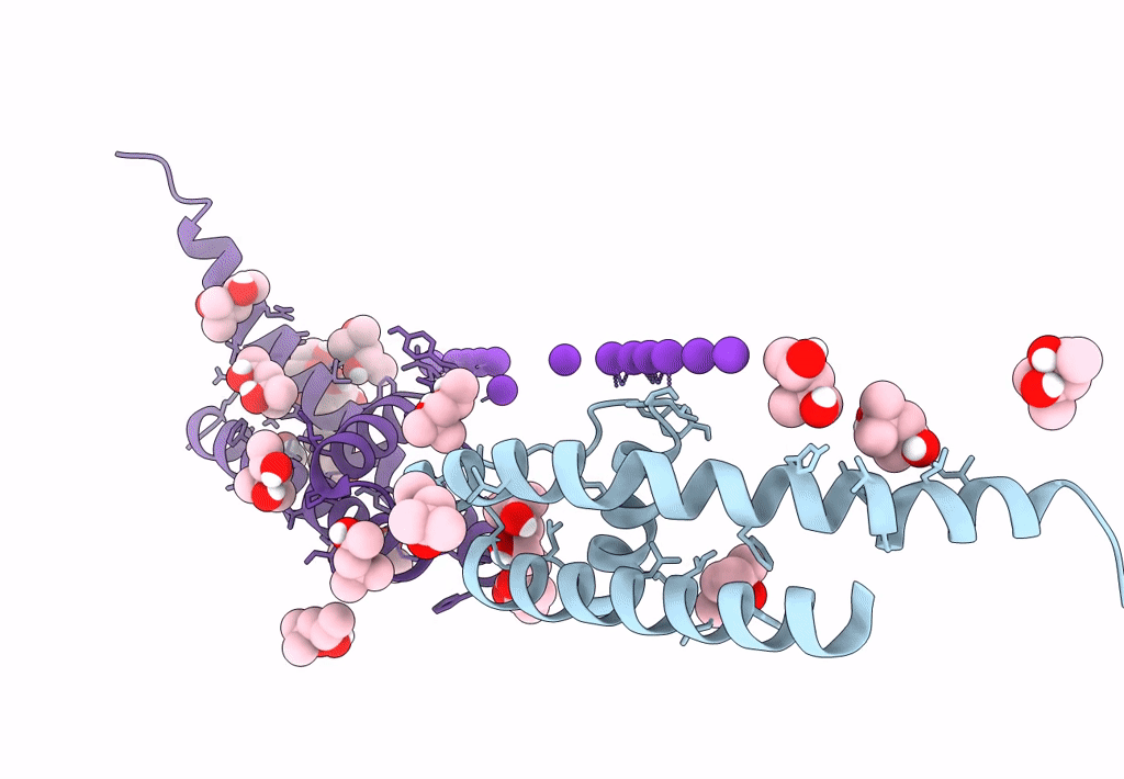 8CU1 image