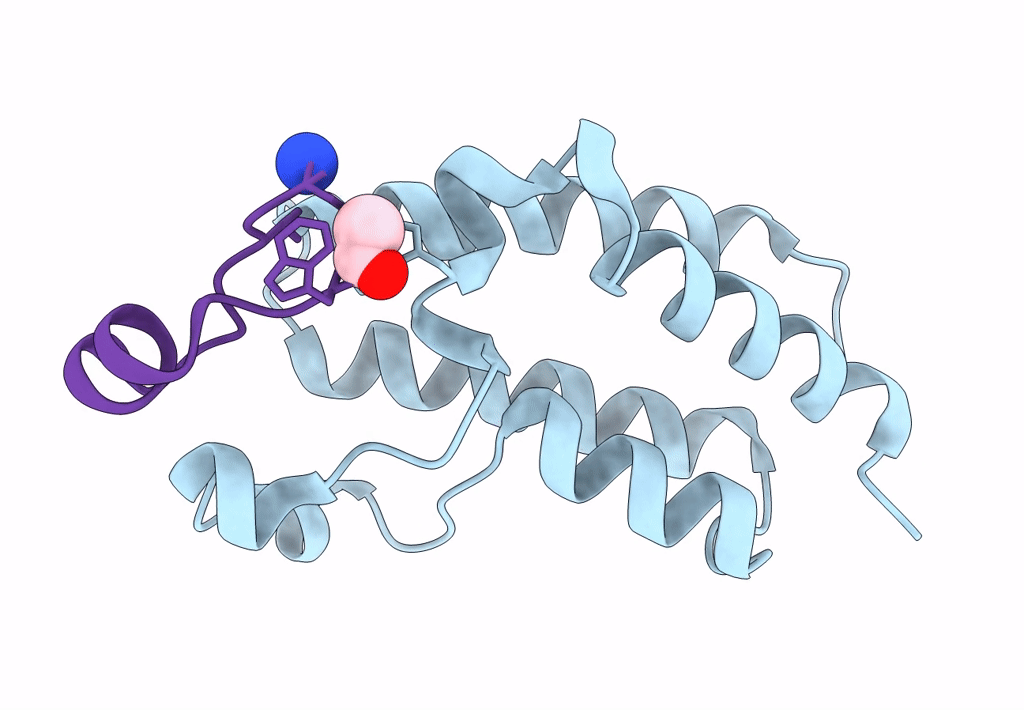 8CV5 image