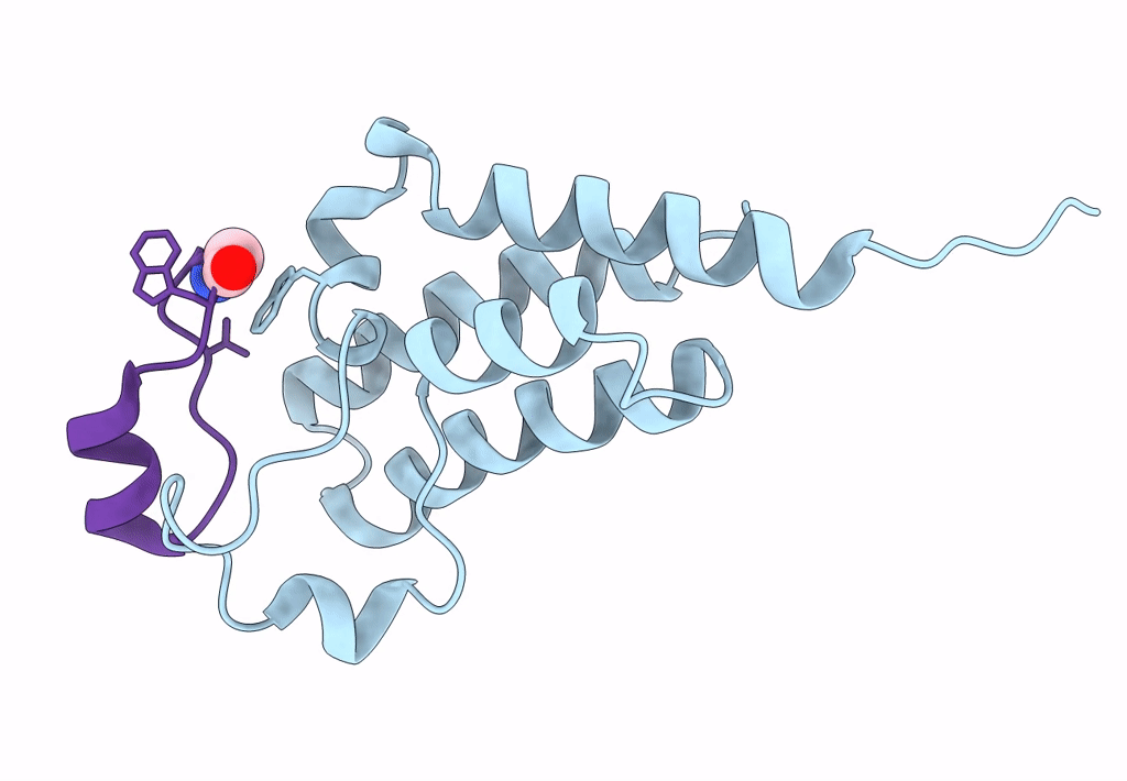 8CV6 image