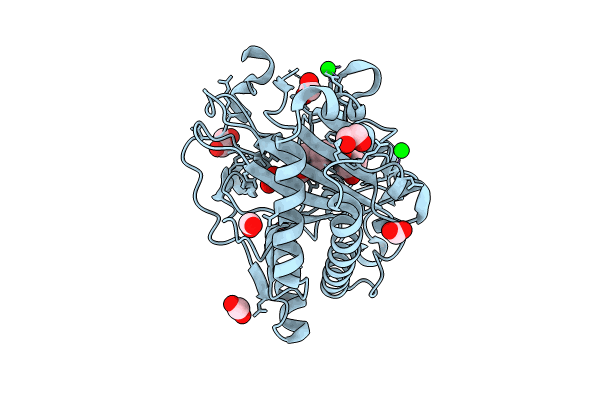 8CV8 image