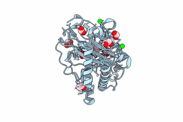 8CV9 image