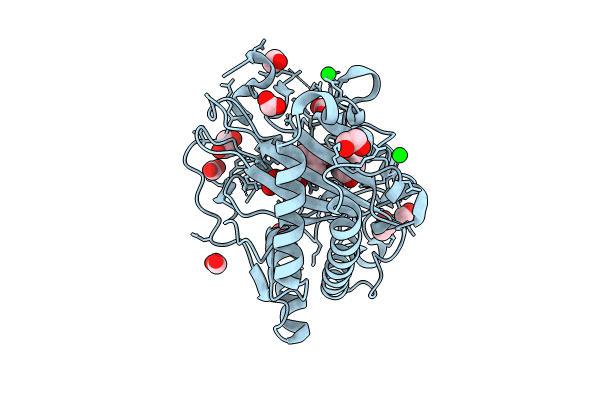 8CVD image