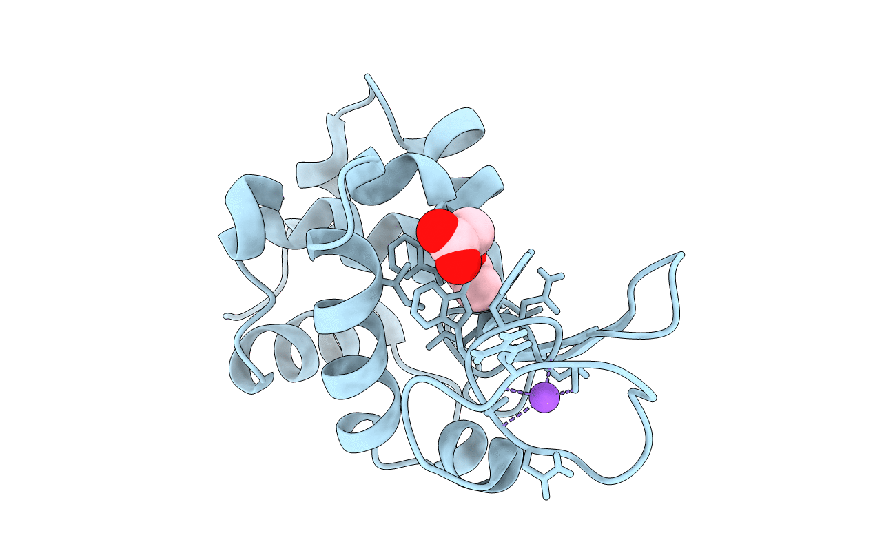 8CVW image