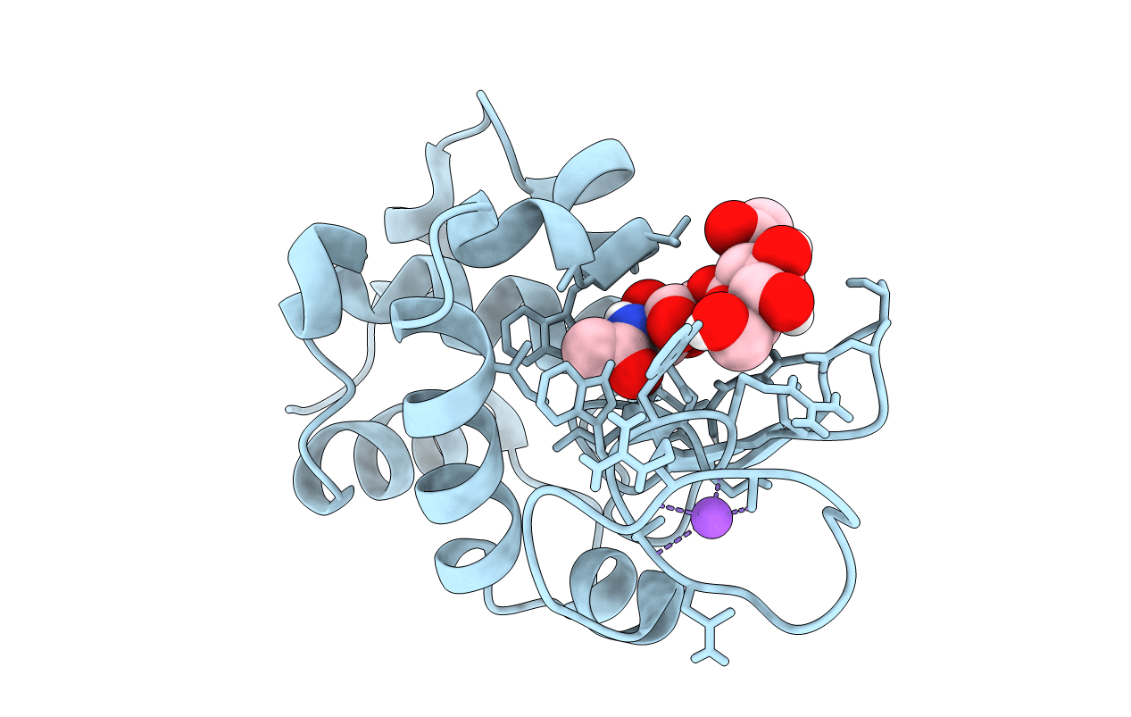 8CWH image