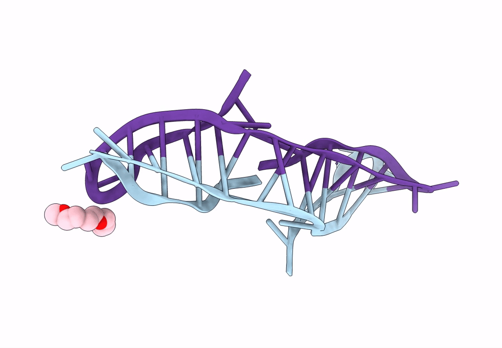 8CXF image