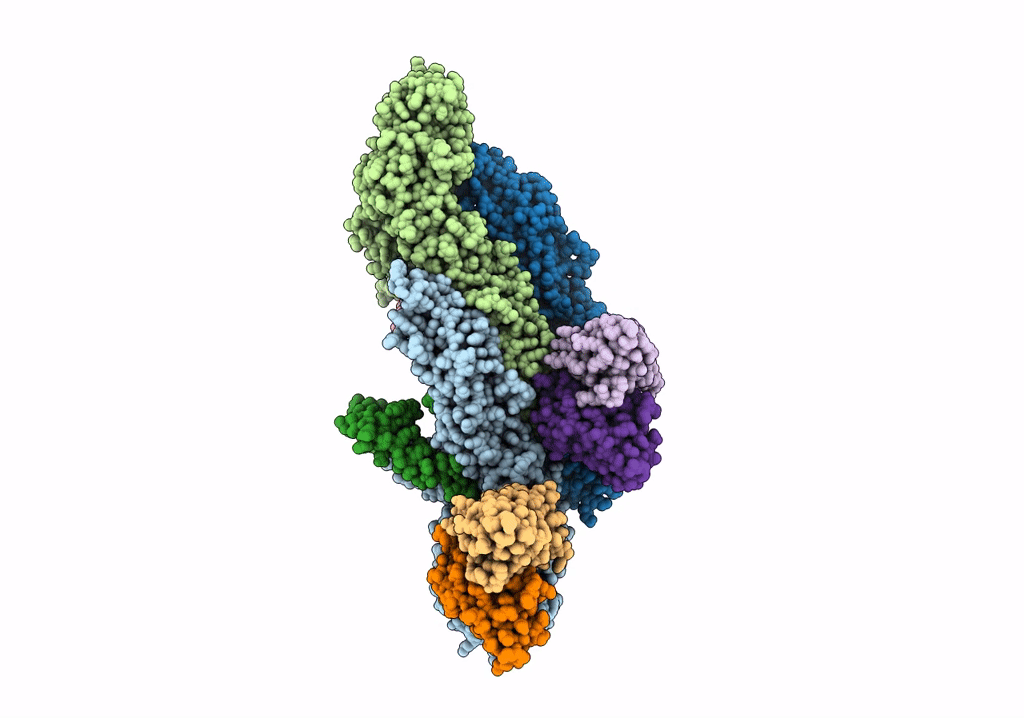 8CXH image