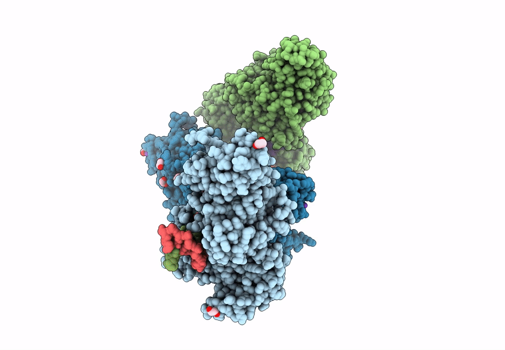 8CXY image