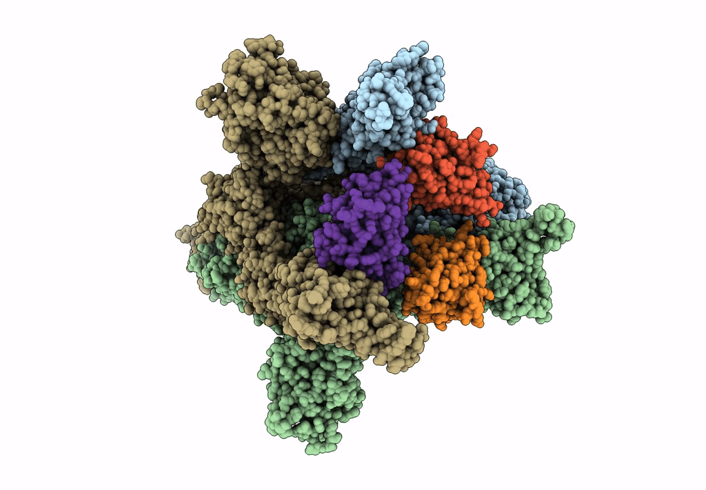 8CYC image