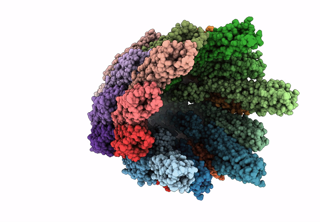 8CYE image