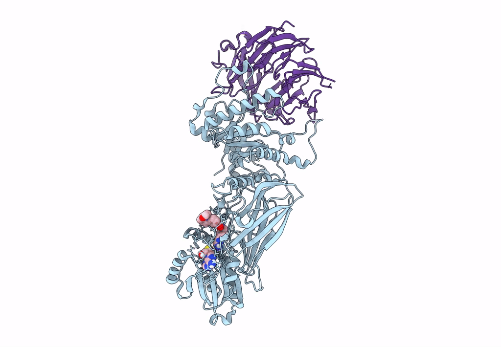 8CYI image