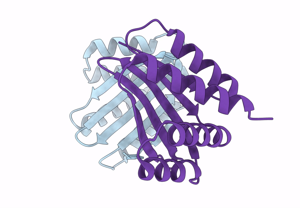 8CYK image