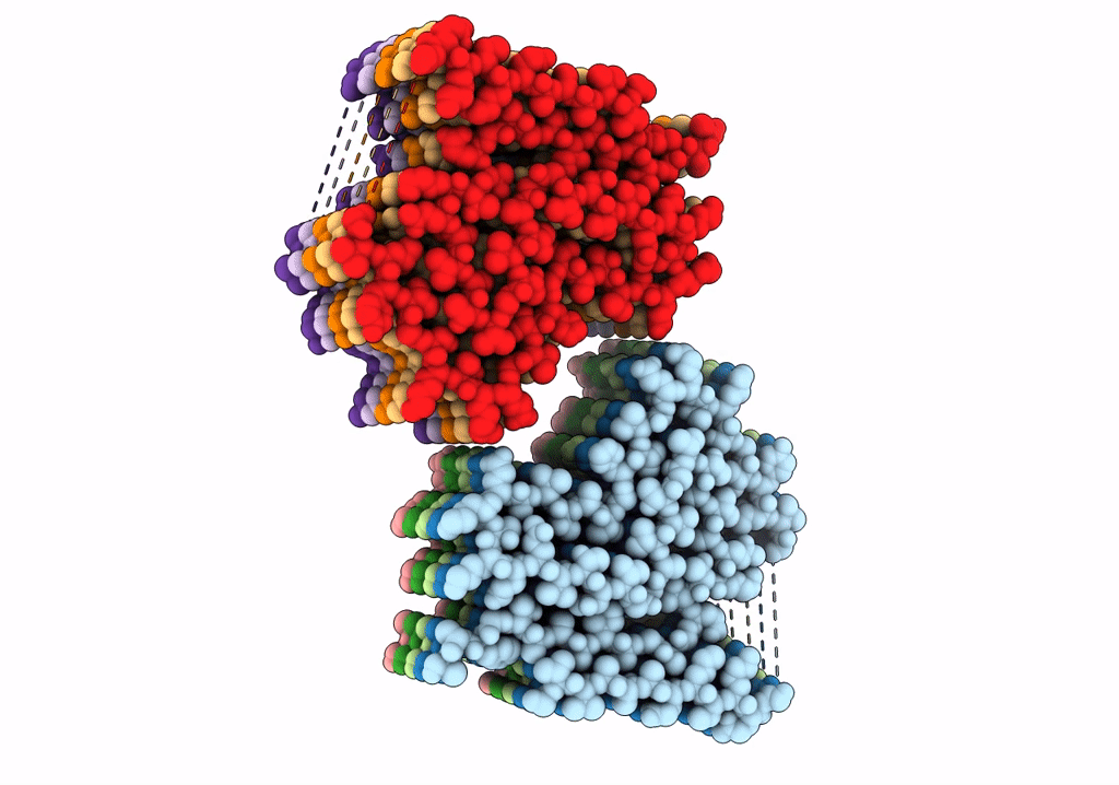 8CYX image