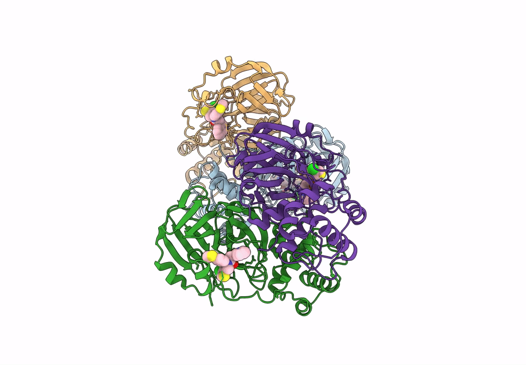 8CYZ image