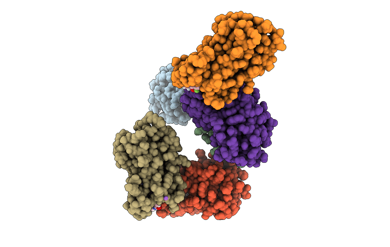 8CZA image