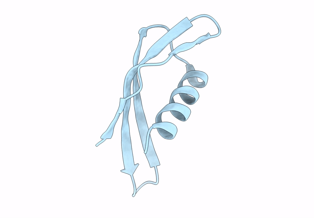 8D05 image