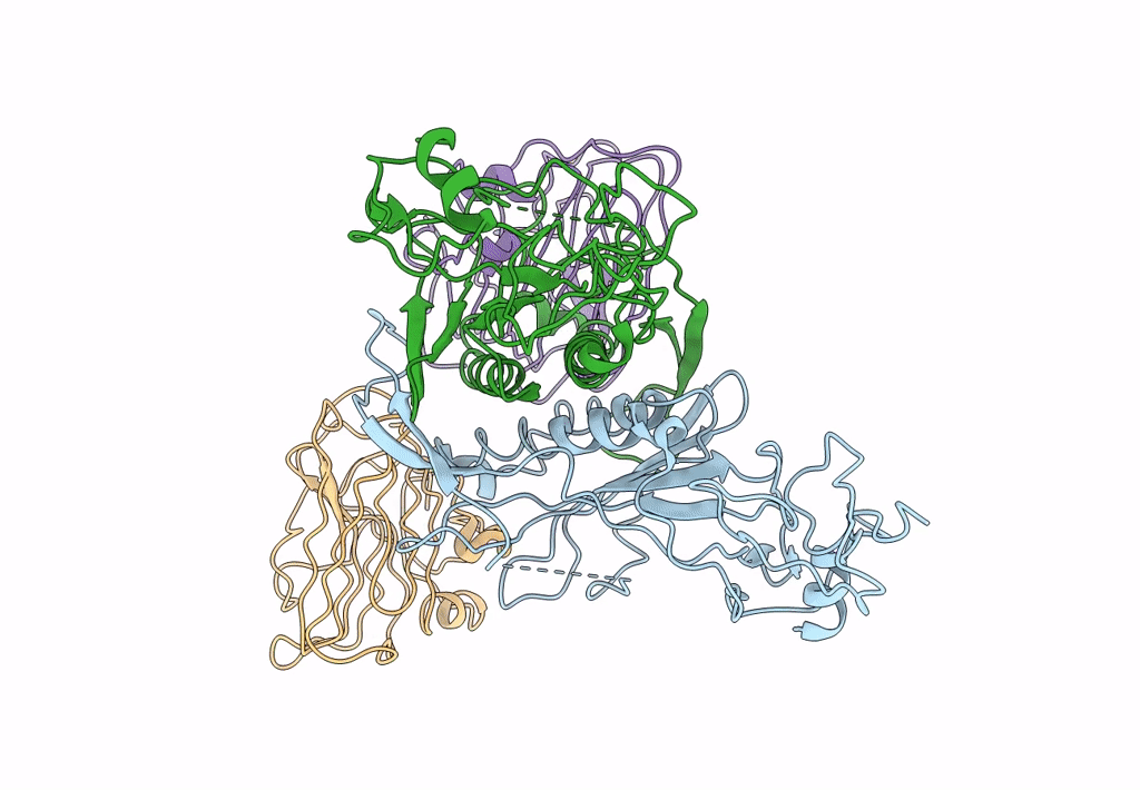 8D1B image
