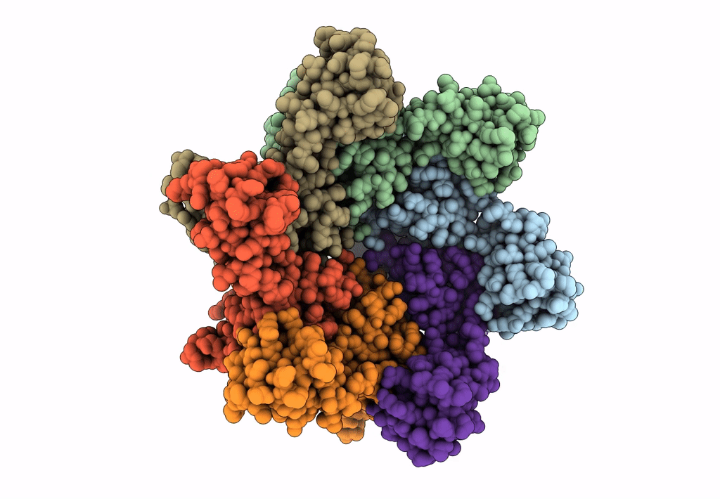 8D3B image
