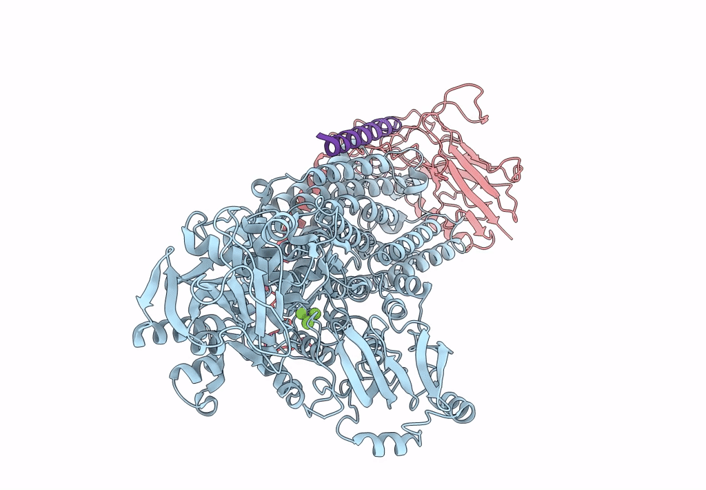 8D3X image
