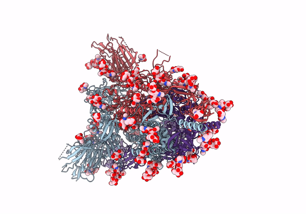 8D56 image