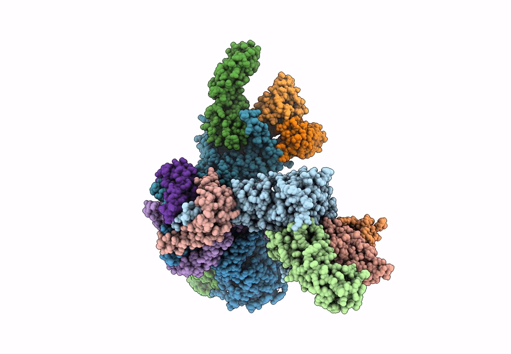 8D5C image