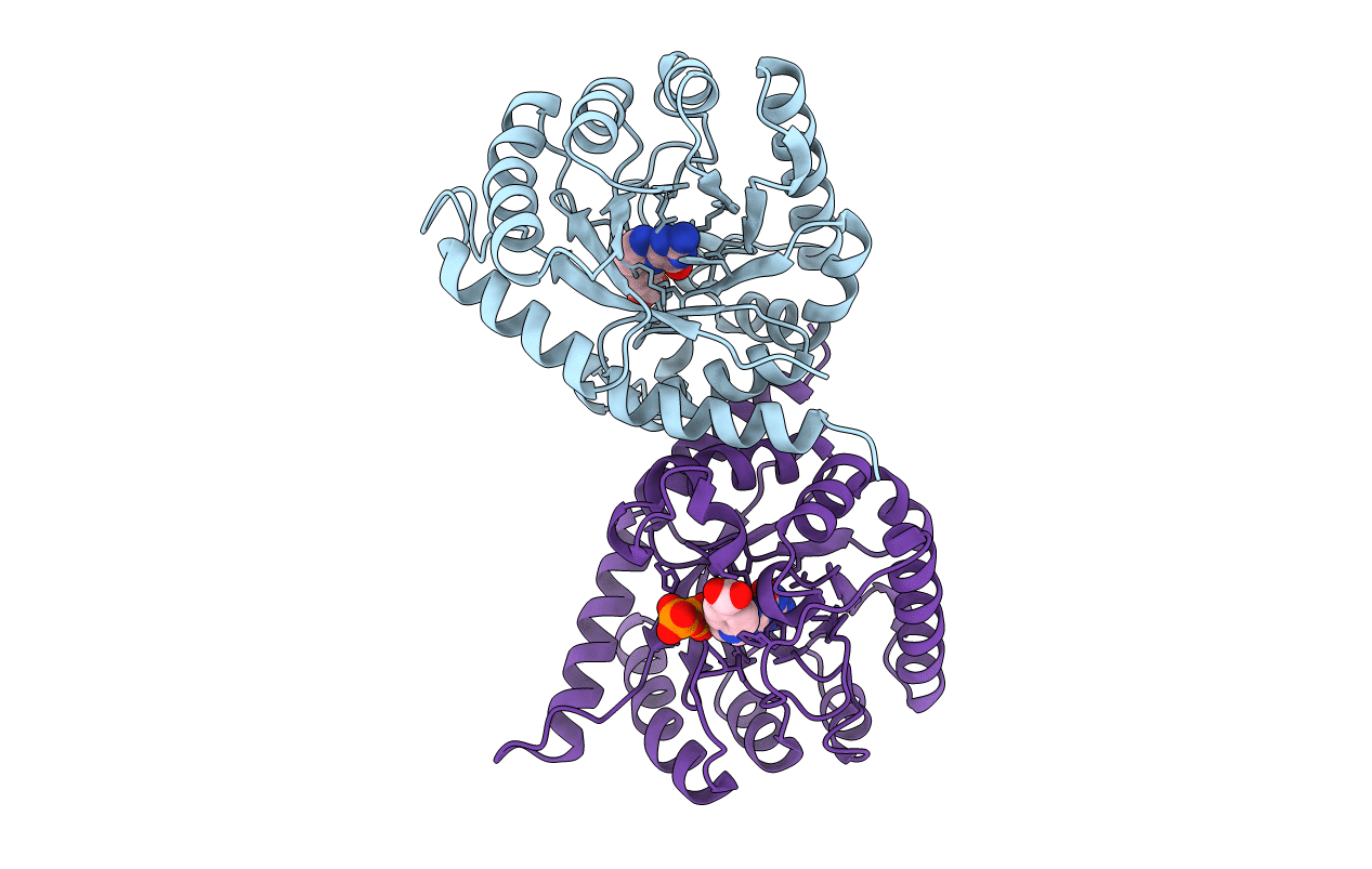 8D5I image