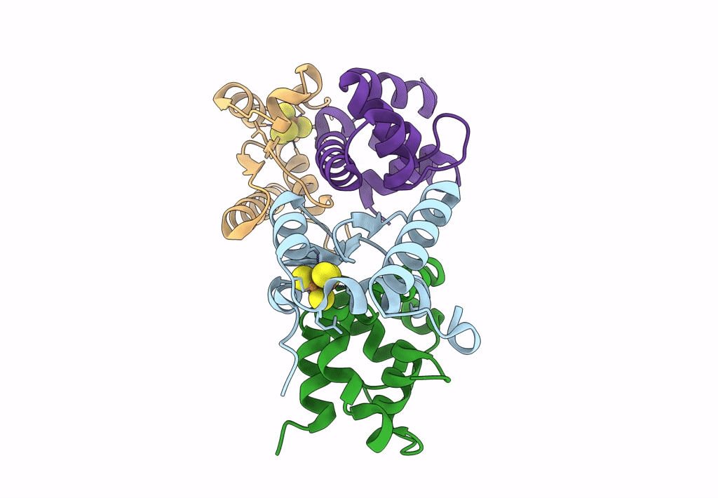 8D5V image