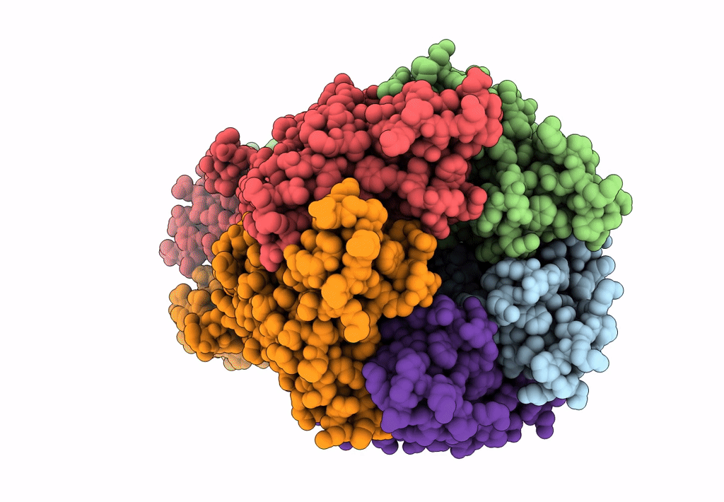 8D67 image